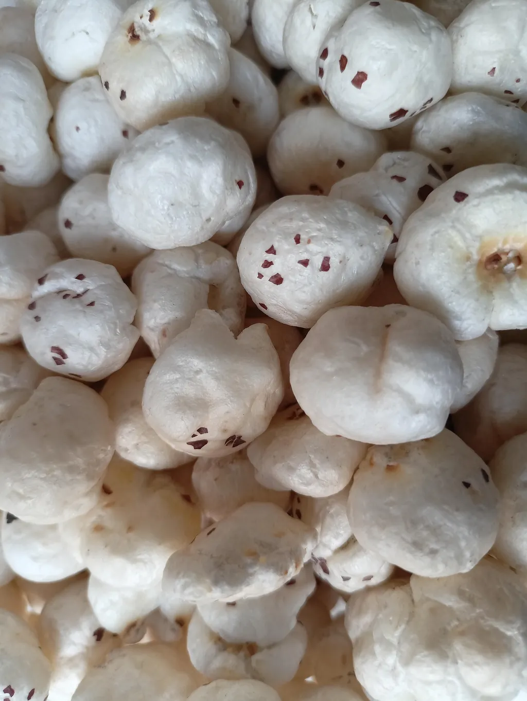 Close-up of plain popped makhana